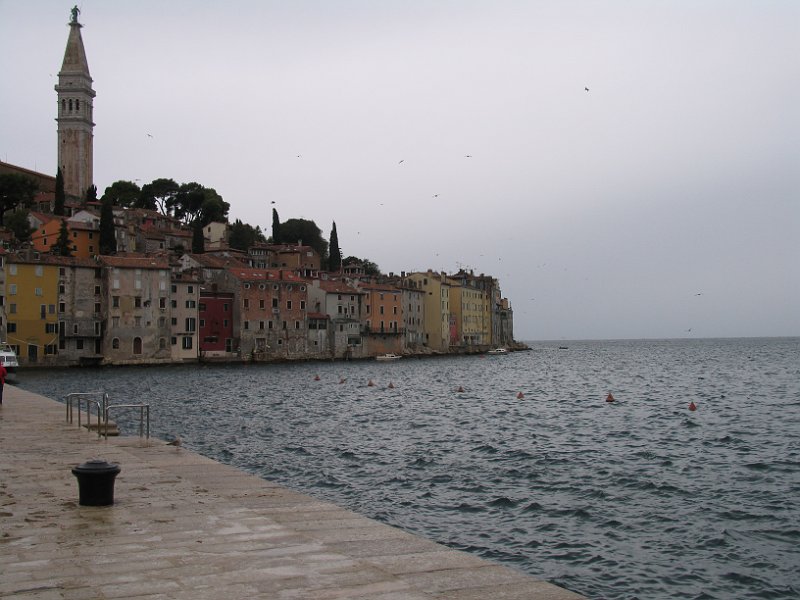 2012-09-13 12-09-19 Ludo.JPG